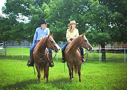 Astrid & Johannes Orgeldinger