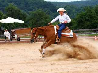 Reining geeigneter Reitplatz